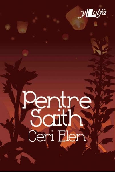 Cover image for Cyfres y Dderwen: Pentre Saith, isbn: 9781847713476