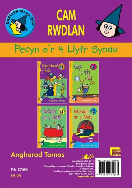 Cover image for Cyfres Darllen Mewn Dim:Cam Rwdlan: Llyfr Synau - Pecyn, isbn: 9781847713681