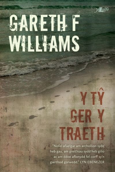 Cover image for Y Ty Ger y Traeth, isbn: 9781847714350
