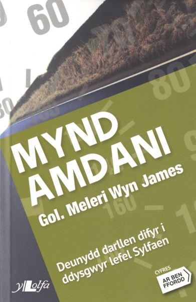 Cover image for Cyfres ar Ben Ffordd: Mynd Amdani - Lefel 2 Sylfaen, isbn: 9781847714619