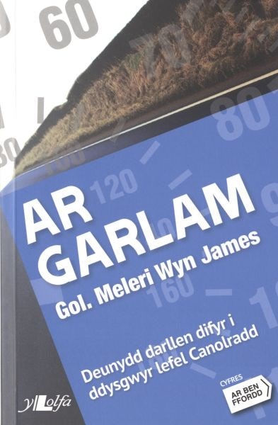 Cover image for Cyfres ar Ben Ffordd: Ar Garlam - Lefel 3 Canolradd, isbn: 9781847714633