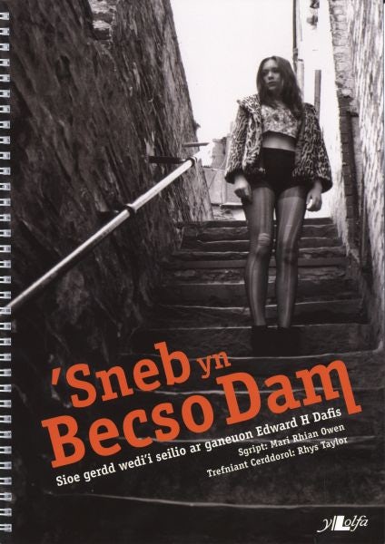 Cover image for 'Sneb yn Becso Dam, isbn: 9781847715050