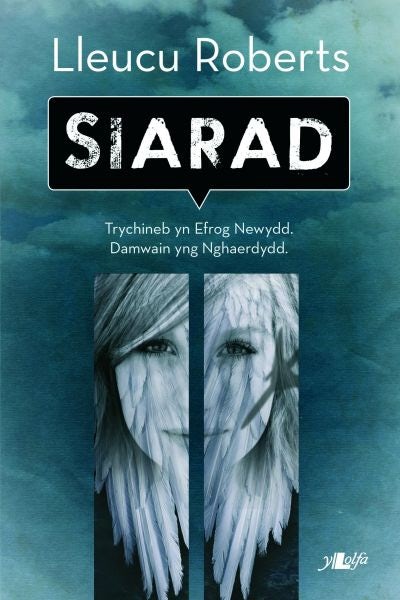 Cover image for Cyfres y Dderwen: Siarad, isbn: 9781847715302