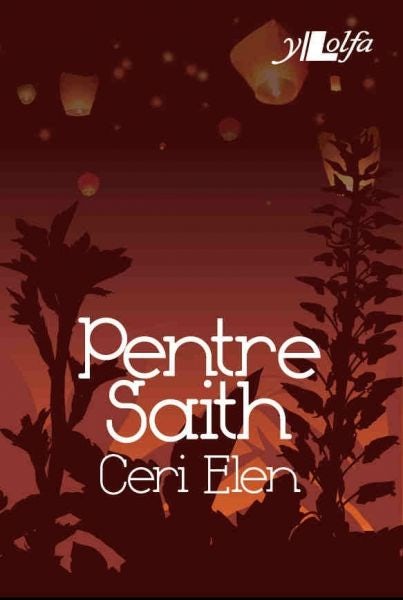Cover image for Cyfres y Dderwen: Pentre Saith, isbn: 9781847715319