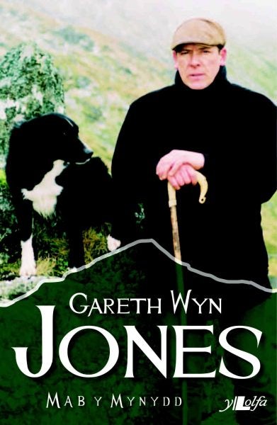 Cover image for Mab y Mynydd, isbn: 9781847715418
