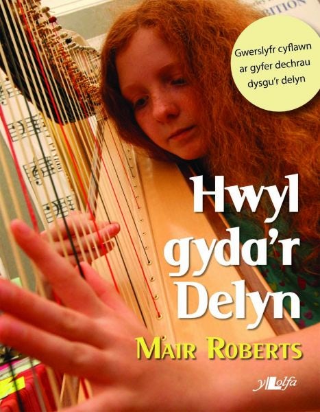 Cover image for Hwyl Gyda'r Delyn, isbn: 9781847716019