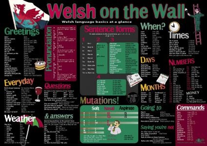Cover image for Welsh on the Wall, isbn: 9781847716026