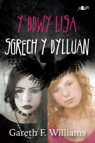 Cover image for Cyfres y Dderwen: Y Ddwy Lisa - Sgrech y Dylluan, isbn: 9781847716101