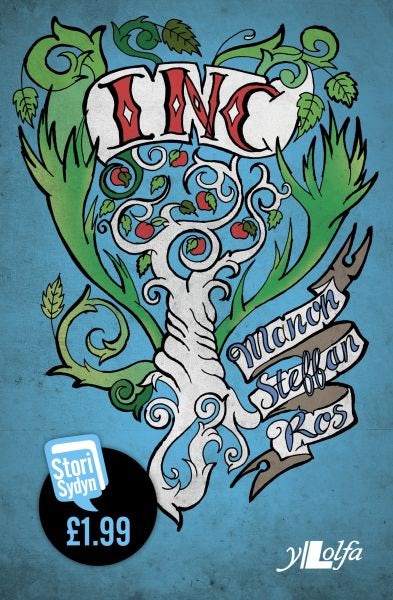 Cover image for Stori Sydyn: Inc, isbn: 9781847716620