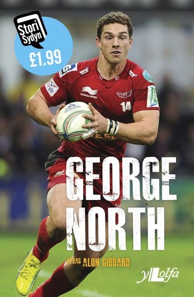 Cover image for Stori Sydyn: George North, isbn: 9781847716651