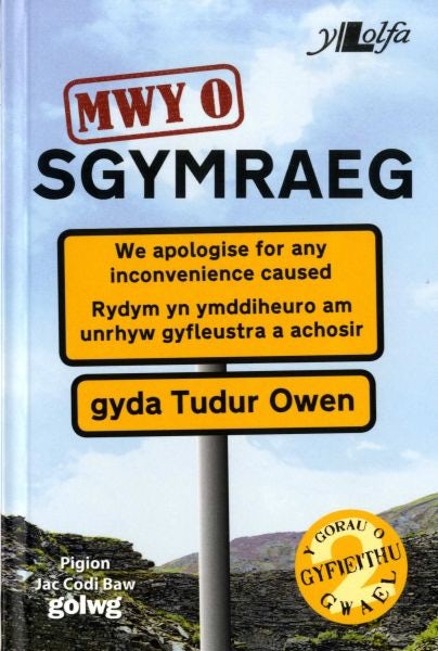 Cover image for Mwy o Sgymraeg, isbn: 9781847717207