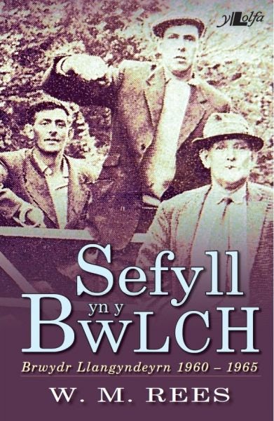 Cover image for Sefyll yn y Bwlch - Brwydr Llangyndeyrn 1960-1965, isbn: 9781847717375
