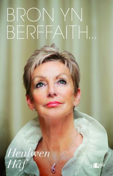 Cover image for Bron yn Berffaith, isbn: 9781847717894