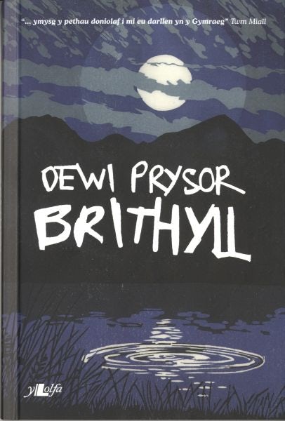 Cover image for Brithyll, isbn: 9781847717948