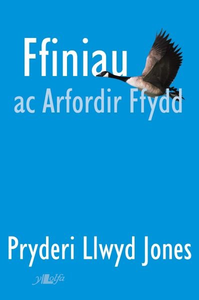 Cover image for Ffiniau ac Arfordir Ffydd, isbn: 9781847718112