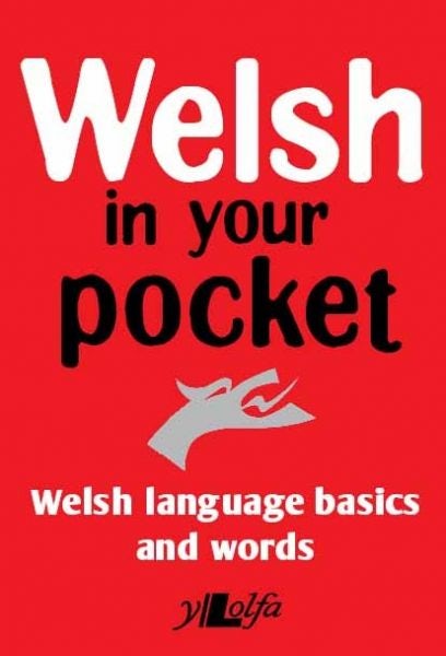 Cover image for Welsh in Your Pocket, isbn: 9781847718778