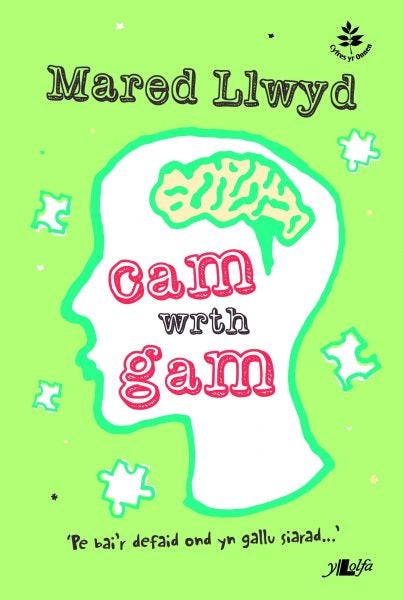 Cover image for Cyfres yr Onnen: Cam wrth Gam, isbn: 9781847718938
