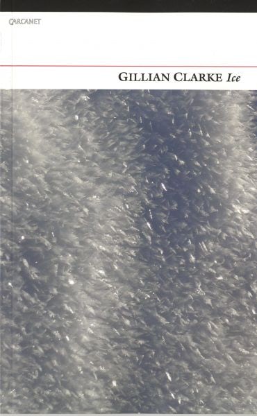 Cover image for Ice, isbn: 9781847771995