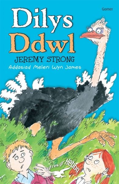 Cover image for Cyfres yr Hebog: Dilys Ddwl, isbn: 9781848510180