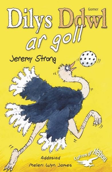 Cover image for Cyfres yr Hebog: Dilys Ddwl ar Goll, isbn: 9781848510289