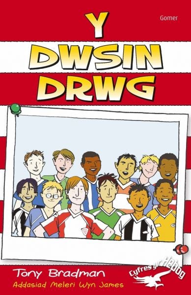 Cover image for Cyfres yr Hebog: Y Dwsin Drwg, isbn: 9781848510746