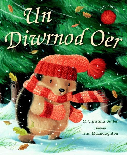 Cover image for Un Diwrnod Oer, isbn: 9781848510814
