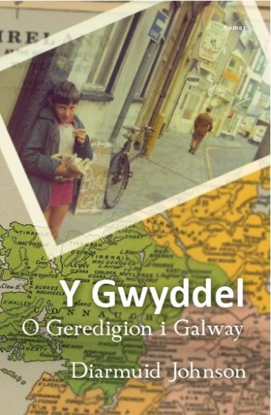 Cover image for Gwyddel, Y - O Geredigion i Galway, isbn: 9781848510845