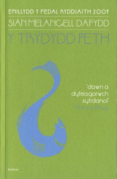 Cover image for Trydydd Peth, Y  Enillydd y Fedal Ryddiaith 2009, isbn: 9781848510906