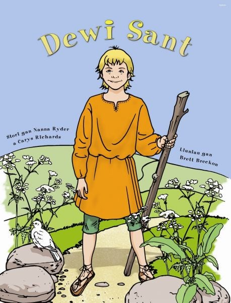 Cover image for Dewi Sant, isbn: 9781848510920