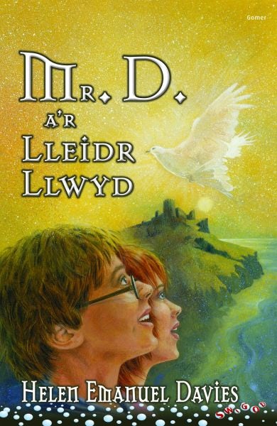Cover image for Cyfres Swigod: Mr D a'r Lleidr Llwyd, isbn: 9781848511637