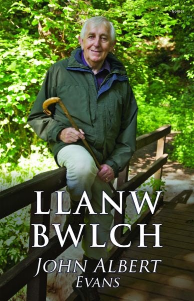 Cover image for Llanw Bwlch, isbn: 9781848512078