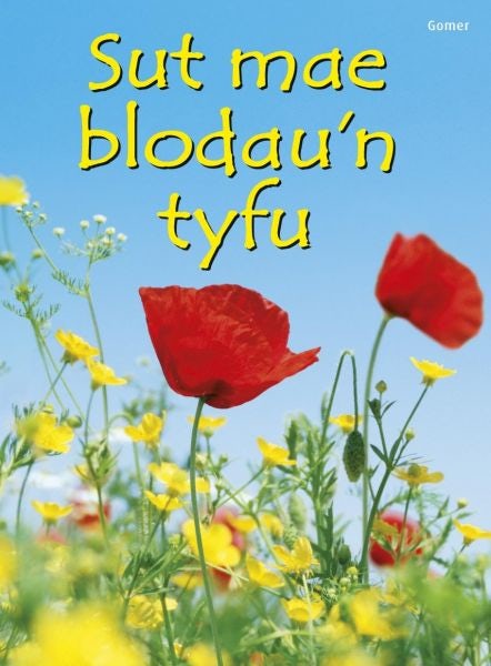 Cover image for Cyfres Dechrau Da: Sut Mae Blodau'n Tyfu?, isbn: 9781848512672