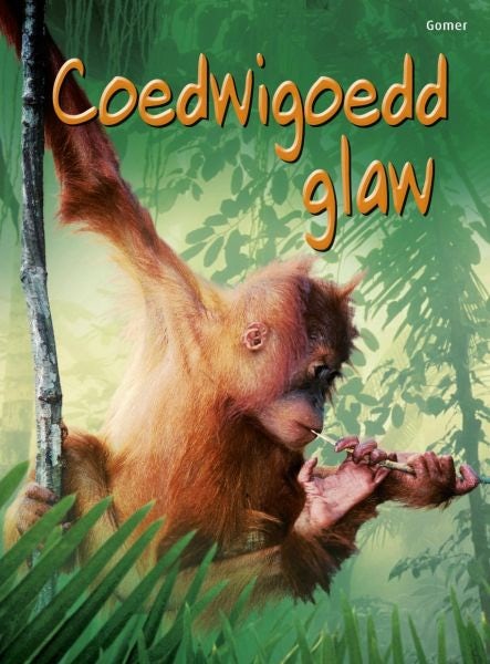 Cover image for Cyfres Dechrau Da: Coedwigoedd Glaw, isbn: 9781848512689