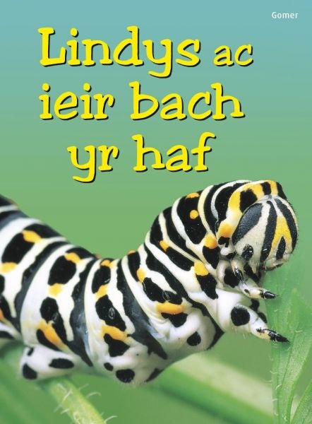 Cover image for Cyfres Dechrau Da: Lindys ac Ieir Bach yr Haf, isbn: 9781848512702