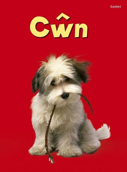 Cover image for Cyfres Dechrau Da: Cŵn, isbn: 9781848512757