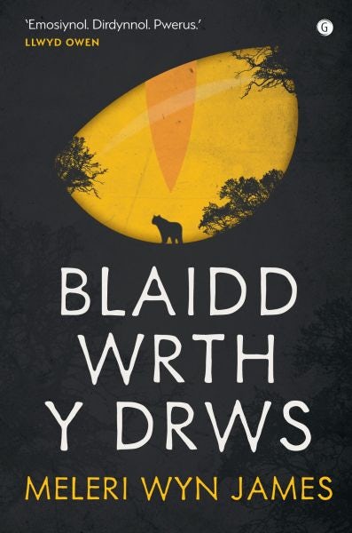 Cover image for Blaidd wrth y Drws, isbn: 9781848512917