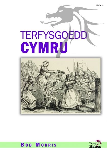 Cover image for Tipyn O'n Hanes: Terfysgoedd Cymru, isbn: 9781848513594