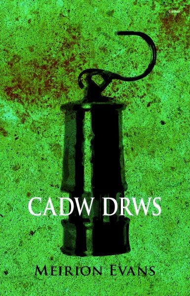 Cover image for Cadw Drws, isbn: 9781848514157