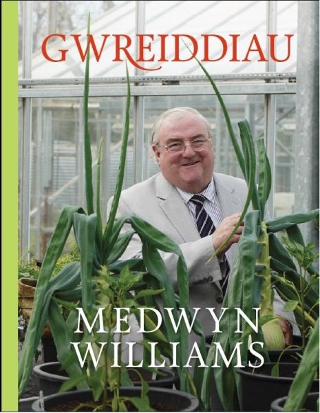 Cover image for Gwreiddiau, isbn: 9781848514225