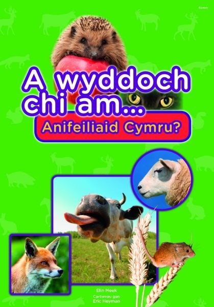 Cover image for Cyfres a Wyddoch Chi: A Wyddoch Chi am Anifeiliaid Cymru?, isbn: 9781848514430