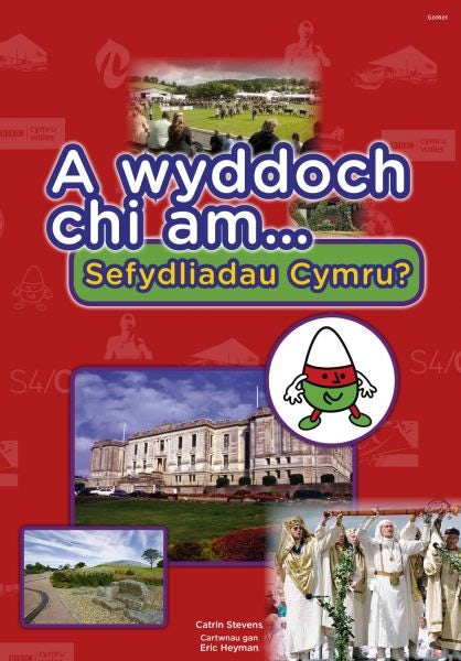 Cover image for Cyfres a Wyddoch Chi: A Wyddoch Chi am Sefydliadau Cymru?, isbn: 9781848514447