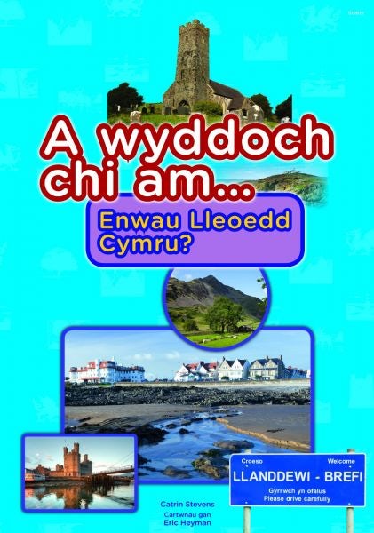 Cover image for Cyfres a Wyddoch Chi: A Wyddoch Chi am Enwau Lleoedd Cymru?, isbn: 9781848514461