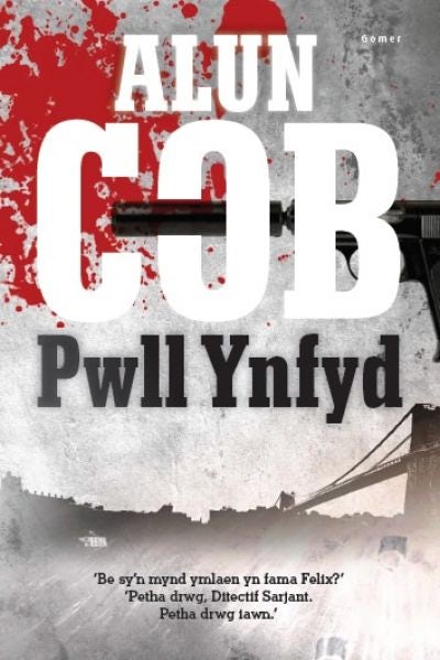 Cover image for Pwll Ynfyd, isbn: 9781848514492