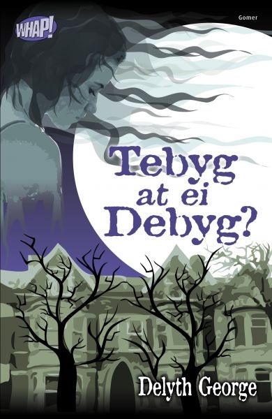 Cover image for Cyfres Whap!: Tebyg at ei Debyg?, isbn: 9781848514768