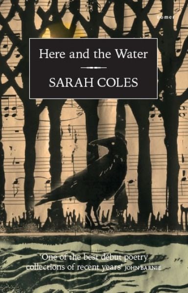 Cover image for Here and the Water, isbn: 9781848514836