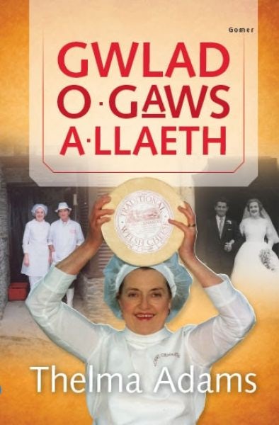 Cover image for Gwlad o Gaws a Llaeth, isbn: 9781848515383