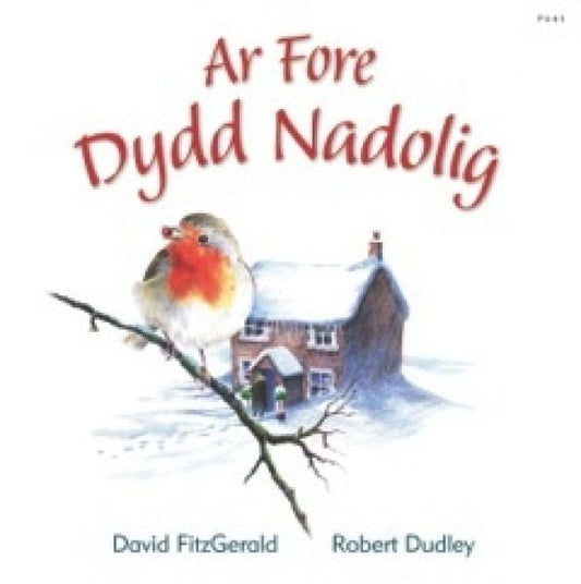 Cover image for Ar Fore Dydd Nadolig, isbn: 9781848515635