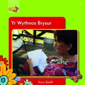 Cover image for Pobl Pentre Bach: Yr Wythnos Brysur, isbn: 9781848516465