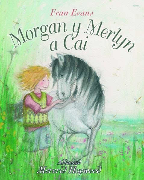 Cover image for Morgan y Merlyn a Cai, isbn: 9781848516618