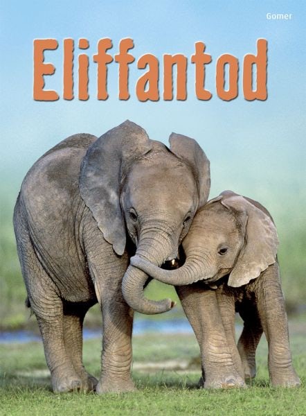 Cover image for Cyfres Dechrau Da: Eliffantod, isbn: 9781848516762